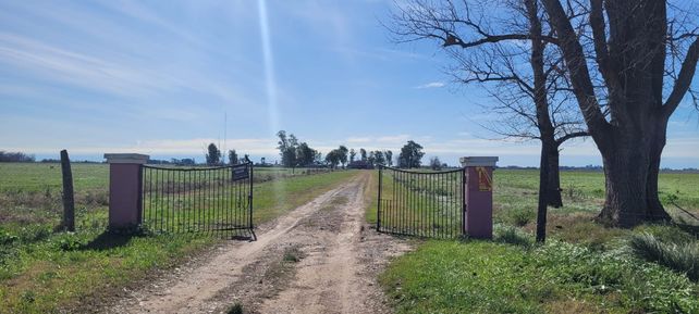 Los cazadores ingresaron ilegalmente al campo Manquehue, ubicado en ruta 34S y Gral. López.