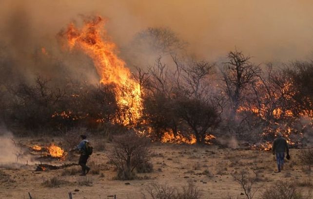 Córdoba: piden declarar alerta amarilla ante los incendios descontrolados en la provincia