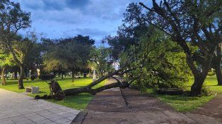 El temporal provocó destrozos en el norte entrerriano con voladuras de techos y caída de árboles