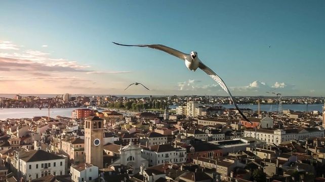 Drone Awards 2020: las mejores fotos aéreas durante la pandemia