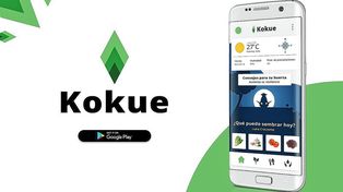 Kokue, la app santafesina que ayuda a crear huertas agroecológicas&nbsp;