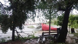 Desde la Universidad Tecnológica Nacional Regional Paraná se brindará asistencia profesional y técnica para reconstruir el histórico muelle