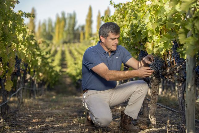 Con producción y exportaciones argentinas en alza, se celebra el Día Mundial del Malbec