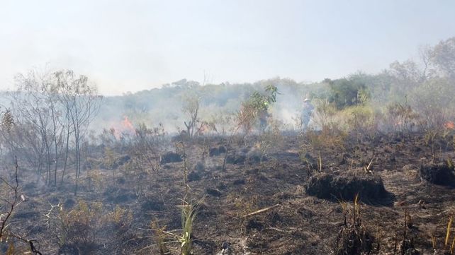 Repudio de los bomberos voluntarios de Paraná y el país al viceministro de Ambiente