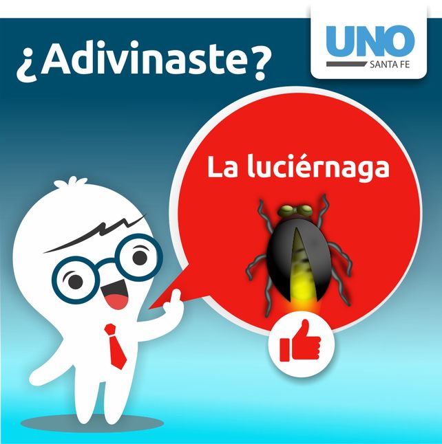 La respuesta a la adivinanza