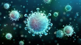 Coronavirus