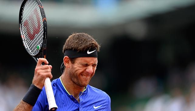 Del Potro se bajó de Hertogenbosch