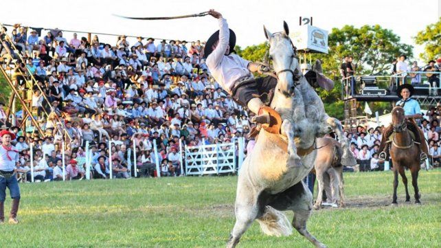 Proteccionistas quieren prohibir festival de jineteada en Oro Verde