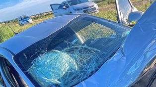 El auto, un Fiat Cronos gris, terminó despistando por el golpe contra el ciervo y sufrió daños en el parabrisas y la parte delantera.