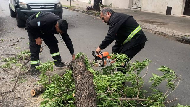Las ráfagas de viento en Rosario superaron los 80 km/h y generaron 130 reclamos