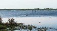 El río Paraná sigue en ascenso en Entre Ríos, pero las marcas se mantienen debajo de las alertas