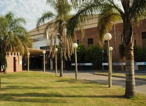 Los familiares de Serena realizarán un abrazo simbólico