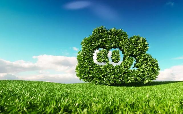 El estudio es el primero en detectar un umbral de temperatura para la fotosíntesis a partir de datos de observación a escala global.