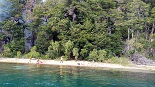 Bomberos en la orilla del lago Nahuel Huapi en el brazo de la Tristeza, donde está el foco.&nbsp;