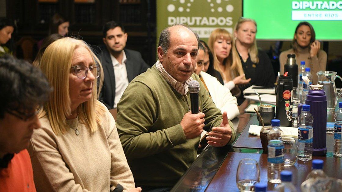 El proyecto tomó estado parlamentario el miércoles pasado y se trató por la tarde y en la mañana del jueves. Esta semana se aprobaría sin modificaciones&nbsp;