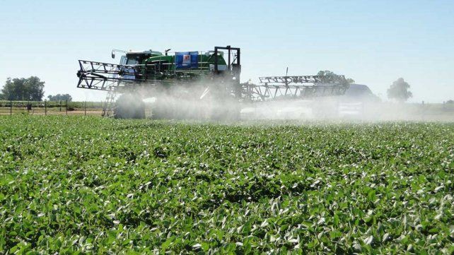 El peón rural habría abusado de su hijo en un campo de Hersilia