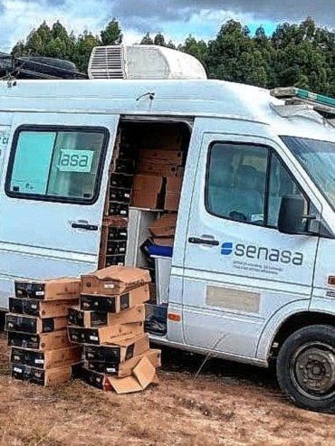 Entre Ríos: decomisaron más de tres toneladas de embutidos sin refrigeración