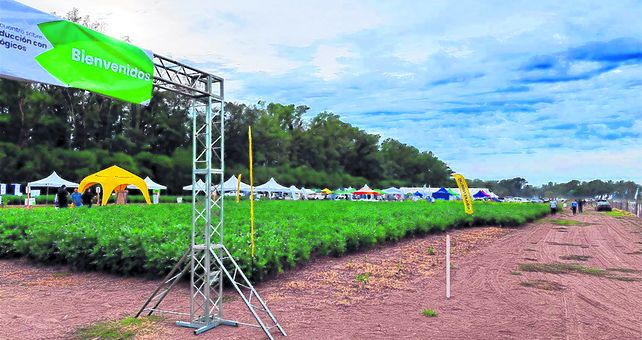Tendencias. El encuentro está organizado por &nbsp;Agrobio y se realizará los días 21 y 22 de febrero de 2024.