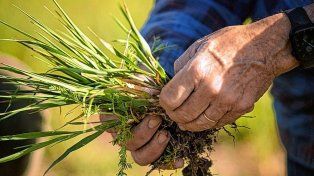 Buscan promover un cambio ambiental en el agro con incentivos económicos