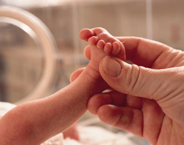 Se regulan las técnicas de reproducción humana asistida y la protección de los embriones no implantados.