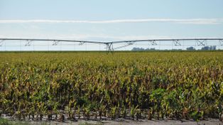 El riego sigue ganando terreno: Argentina sumó 63.400 hectáreas