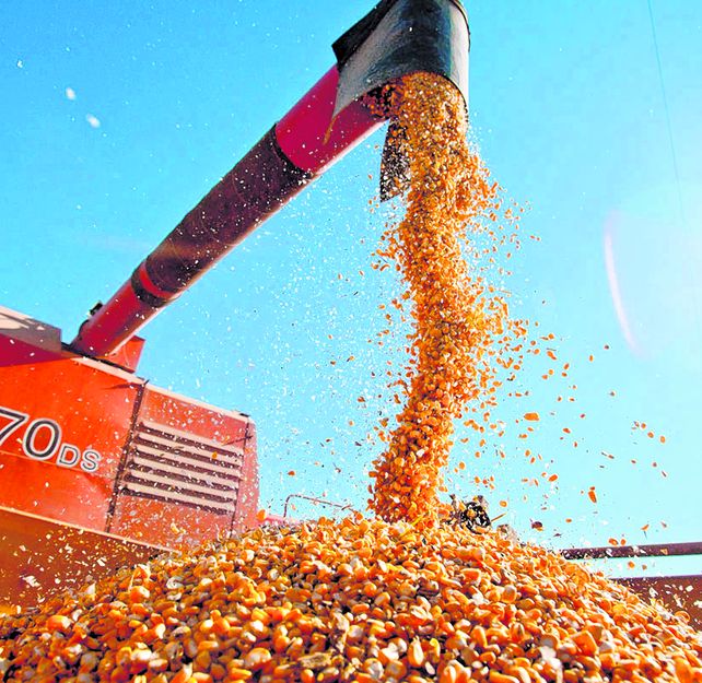 Príncipe dijo que los pequeños productores ahora tenemos menos rentabilidad que antes de la devaluación.