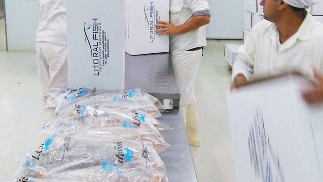 La Secretaría de Ambiente de Entre Ríos suspendió preventivamente las actividades de Litoral Fish SRL por presuntos incumplimientos ambientales.