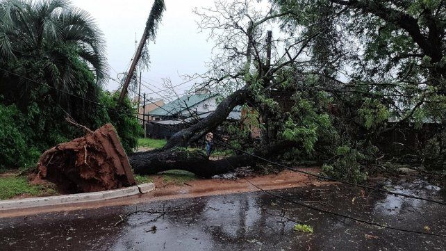 Importantes daños dejó el temporal que pasó por Concordia