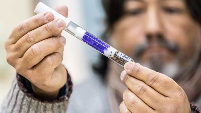 La UNL y Conicet trabajan en el desarrollo genético de semillas de cannabis para uso medicinal