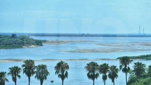 Río Paraná: especialistas relevan peces
