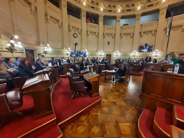 El atentado contra Cristina Kirchner también resuena en el Senado santafesino.&nbsp;