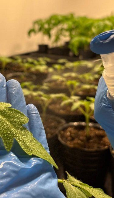 Las startups biotecnológicas que convierten ciencia rosarina en negocios globales
