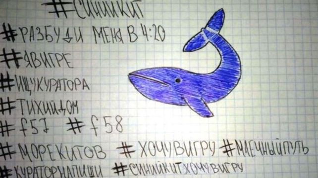 Detuvieron en Entre Ríos a un adolescente que incitaba a un suicidio masivo