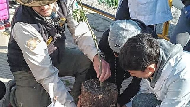 Diamante: alumnos de 6º grado plantaron ejemplares de Timbó
