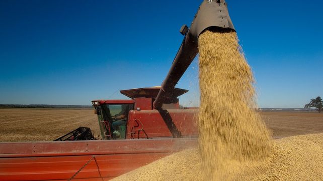 Retenciones: La Federación Agraria presentará una nueva propuesta