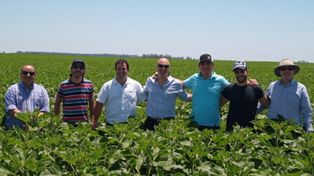 De empresa familiar a fideicomiso agropecuario