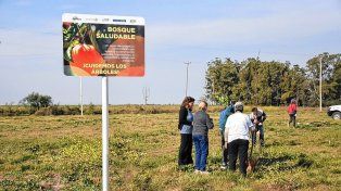 Ramírez apuesta a los bosques frutales para promover la biodiversidad y la alimentación saludable