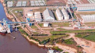 La molienda de granos fue la actividad que más evolucionó en la provincia durante noviembre de 2022.