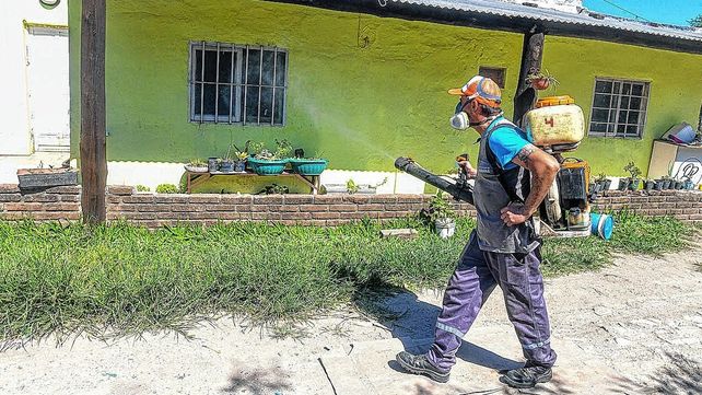 Paraná: continúa el cronograma de fumigación