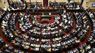 El 45% de las bancas de Diputados y el 43% de las del Senado están ocupadas por mujeres