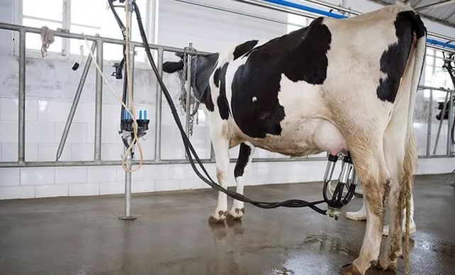 El Trébol: cumbre para acuerdos internacionales en la industria de la leche