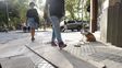 La remodelación fue presentada como una gran obra. Nadie se imaginó que tamaña inversión duraría tan poco.