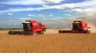 El agro es uno de los sectores con más participación en la economía santafesina.