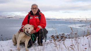 Tango, el perro que salvó a un esquiador enterrado bajo la nieve en Ushuaia
