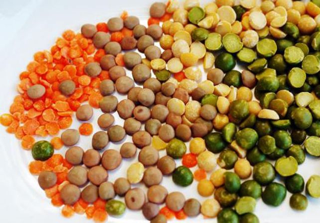 Leguminosas. Captan nitrógeno del aire y agregan algo de este a la tierra. La mayoría de las otras plantas toman el nitrógeno del suelo y no lo reemplazan.
