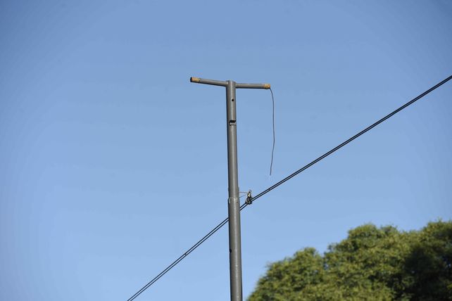 Robaron valiosas luces de avenida Pellegrini trepando a la columnas como si fueran monos