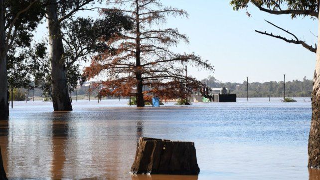 Por la crecida del río Uruguay en Concordia hay cuatro familias evacuadas. Tres fueron trasladas a casa particulares y una persona a un centro de evacuados&nbsp; 