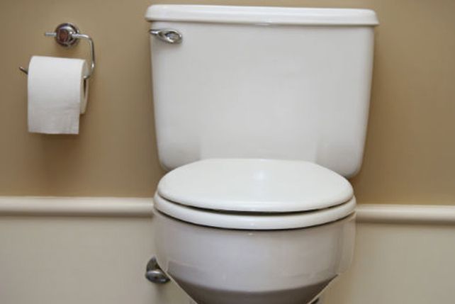 Aunque usted no lo crea, es el día del inodoro