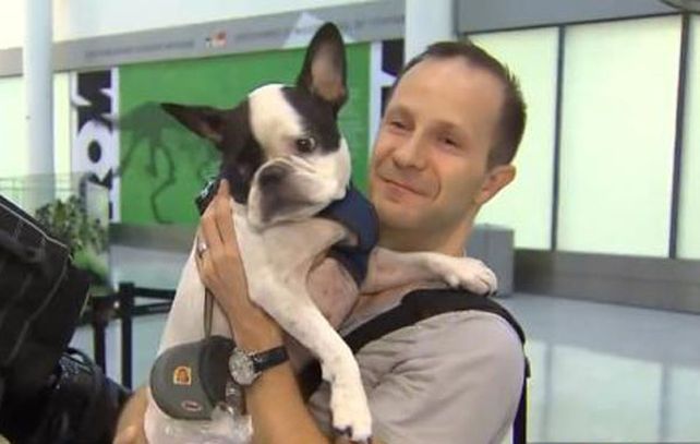 El perro Simba y su dueño se reencontraron en el aeropuerto.