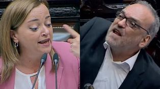 La presidenta de la Cámara de Diputados acusó al legislador de Juntos por el Cambio de decirle pelotuda